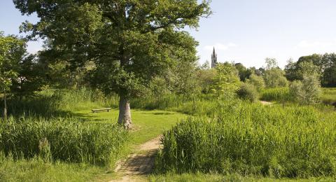 La forêt humide et secrète