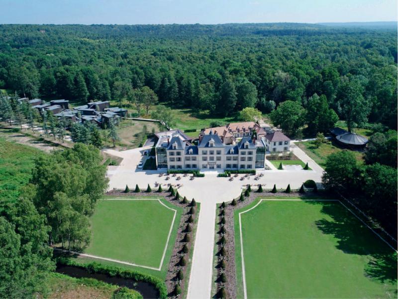 The castle in its wooded environment