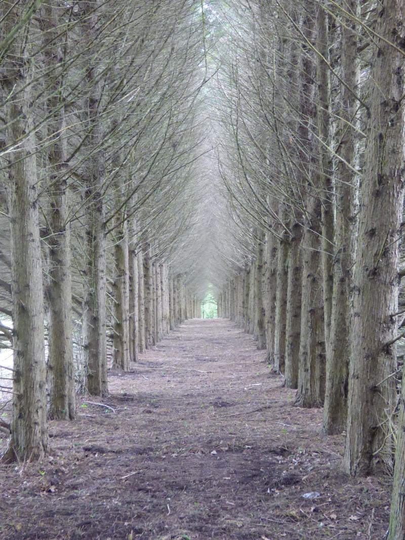 Former hunting grounds, this alley is a secret passage and becomes a real surprise to discover.