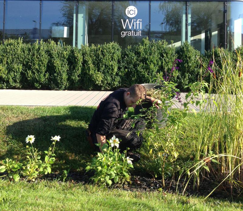 Manual weeding of the beds