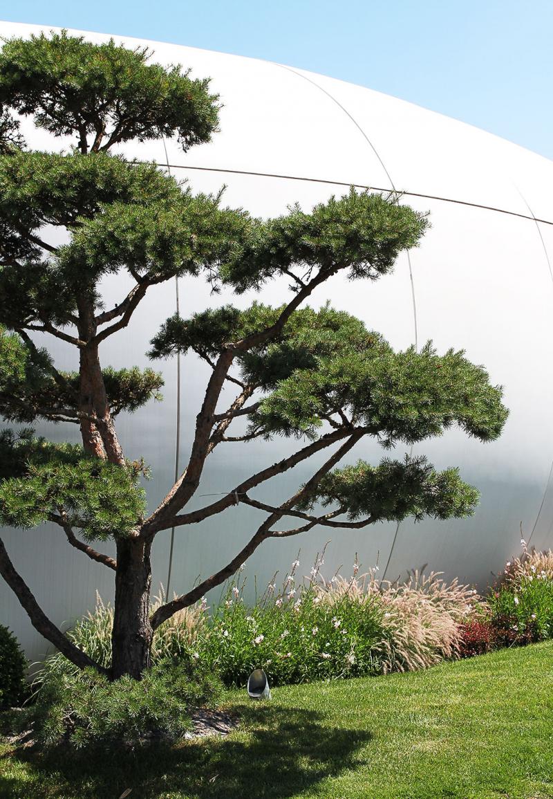 Landscape enhancement of the "Galets": the "cloud" pine is expressed by the contrast and resonance of the shapes