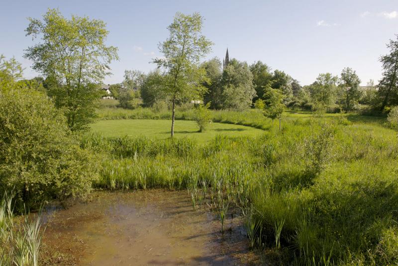 Water as a key element of the site