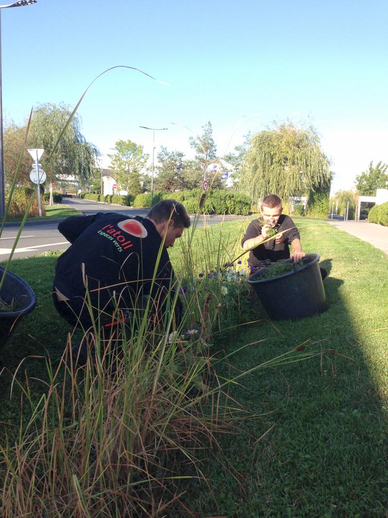 Site visit with the gardener: observe the evolution of the landscape painting over the seasons