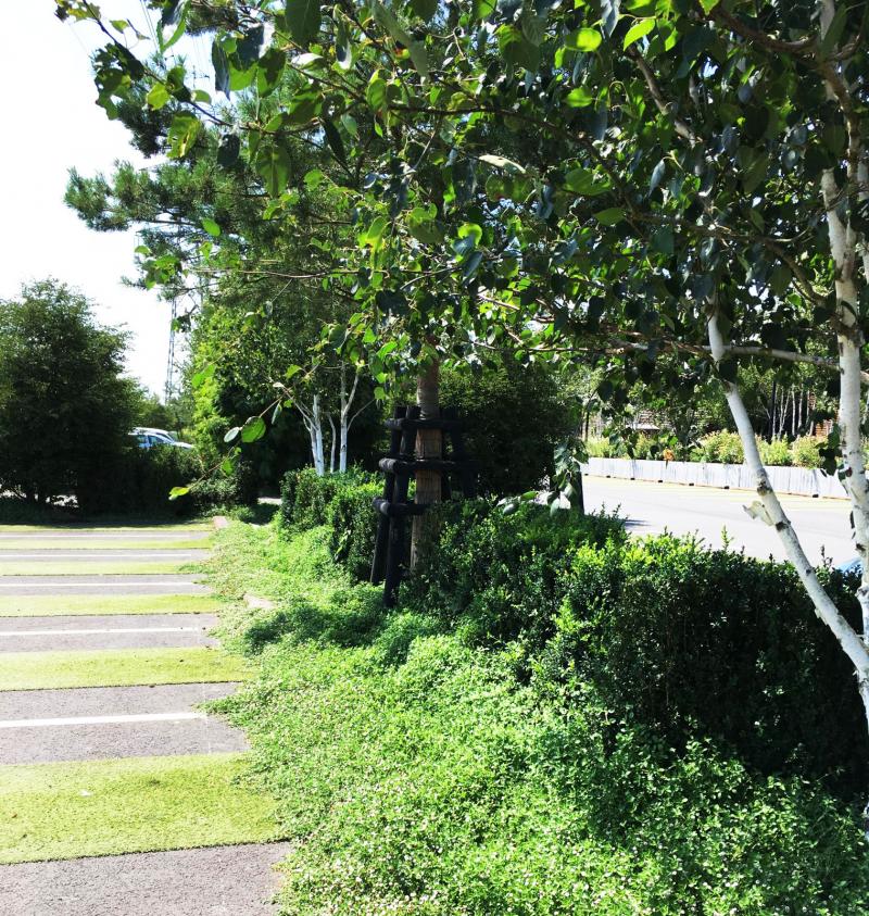 A green setting surrounds the central parking lot