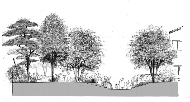 A walk to discover a living undergrowth