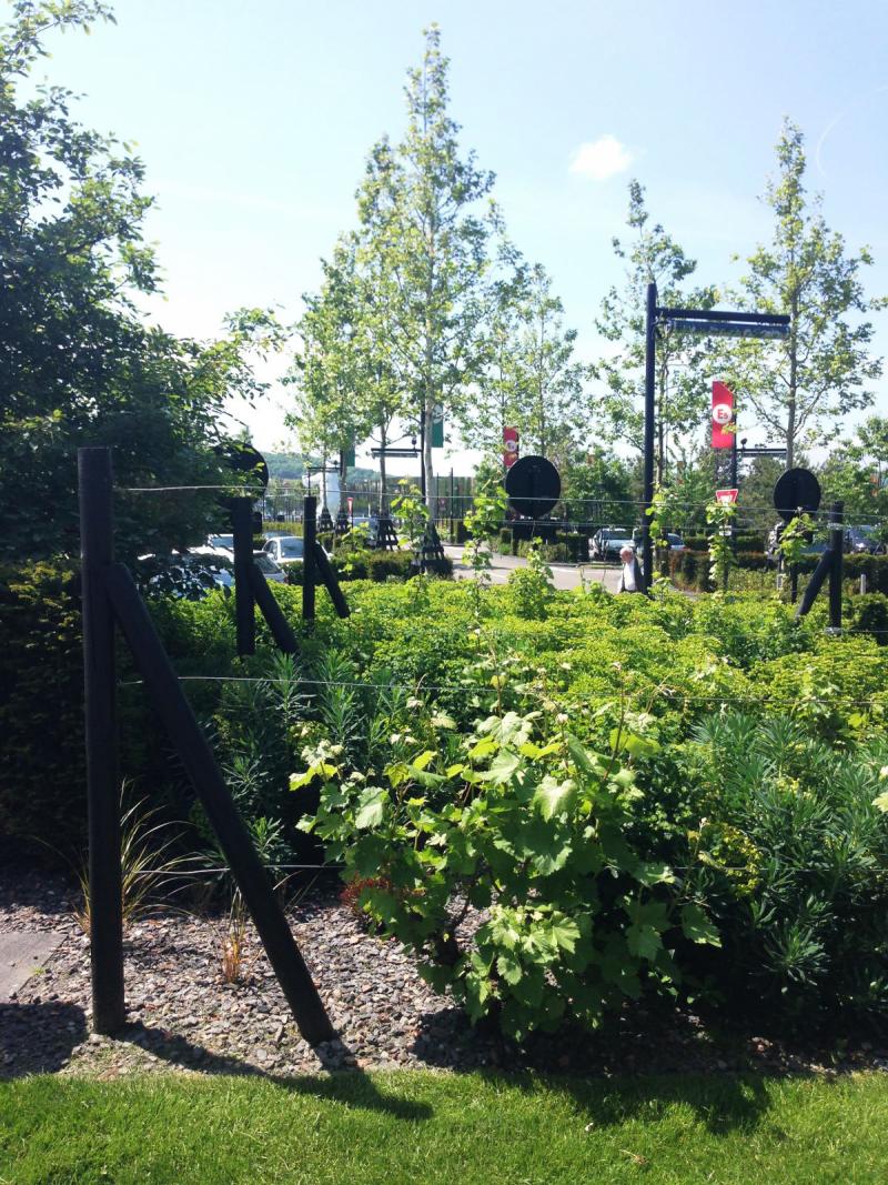 The trellised vines punctuate the surroundings of the promenades and remind us of the nearby wine-growing hills.