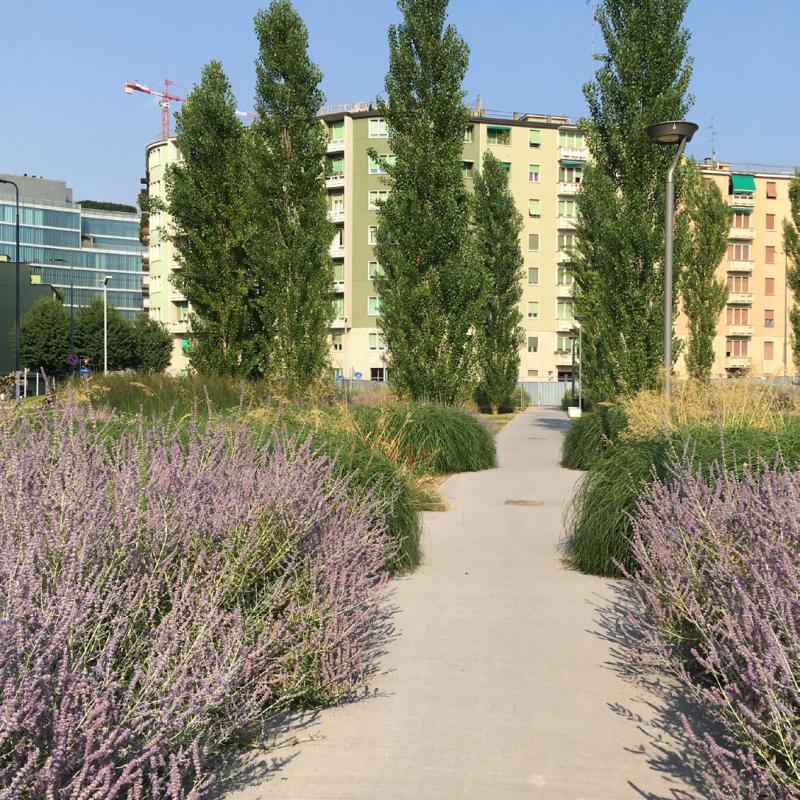 Guided tour of the Porta Nuova district with Frederico from the Land srl Agency