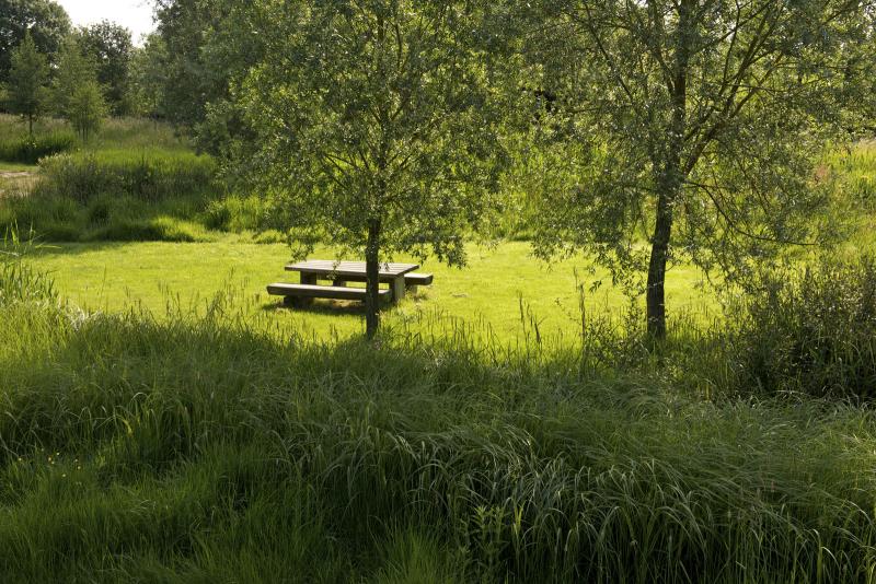 Places to pause and relax in the heart of a meadow that has been cut down