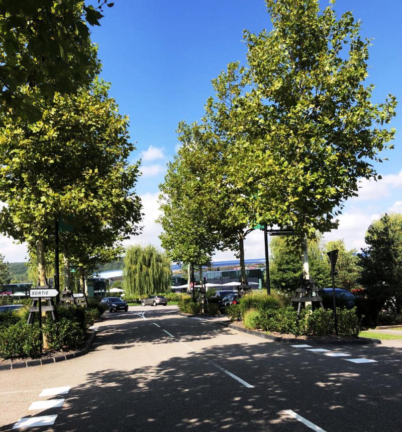 A gentle and wooded treatment of the parking spaces at the heart of the project