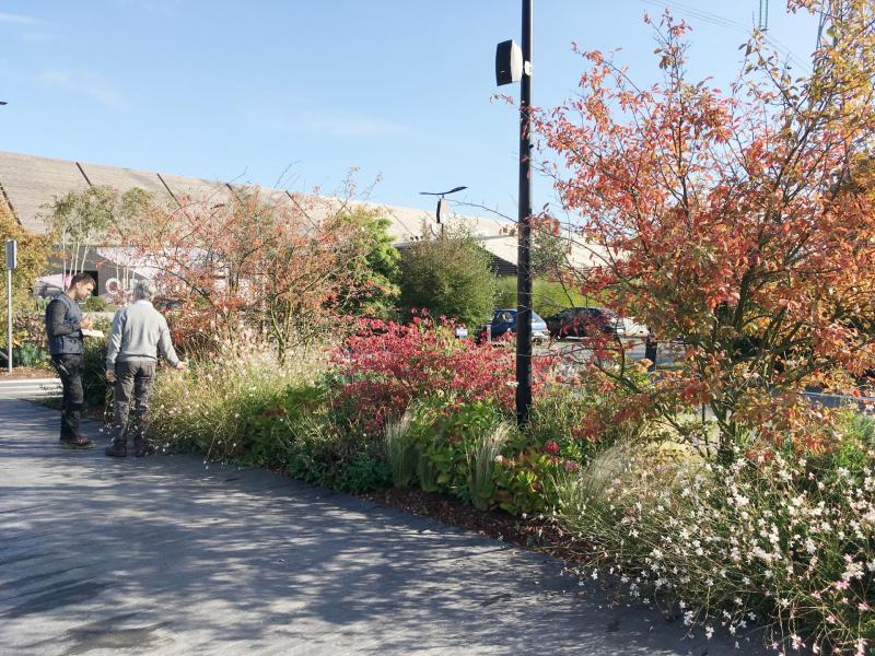 Exchanges with the site gardener during our regular monitoring mission