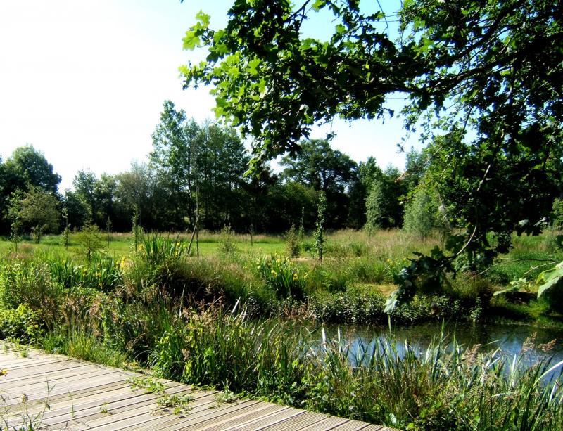 A space for strolling and discovering the humid natural environment