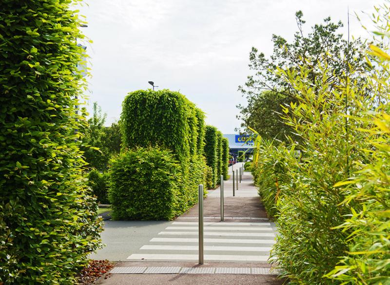 Crossing pedestrian walkways lean against the rhythm of a structured vegetation
