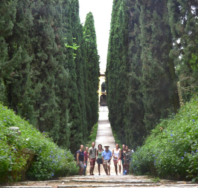 In the gardens of Verona: Giardino Giusti with his famous avenue of giant Cypress trees over 600 years old