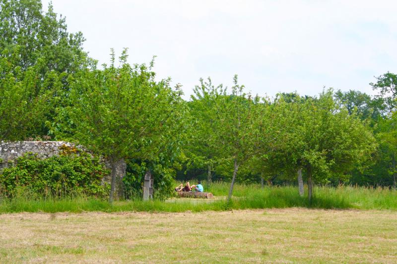 ...Relaxation under the trees