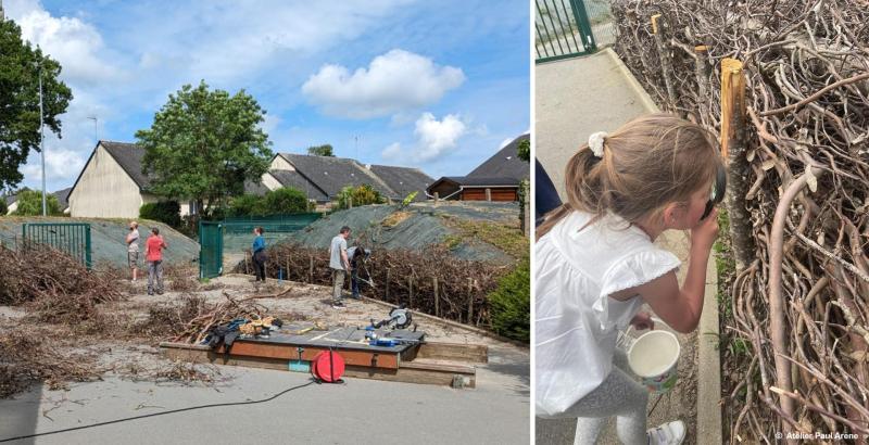 Workshop for making a dry hedge with parents and children - École Saint-Joseph, Segré-en-Anjou Bleu (49)