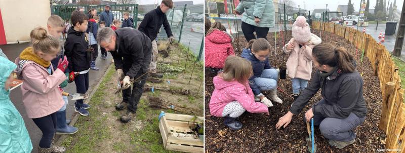 Project "Micro-forest", planting with students of the Saint-Joseph - Segré-en-Anjou Bleu school (49)