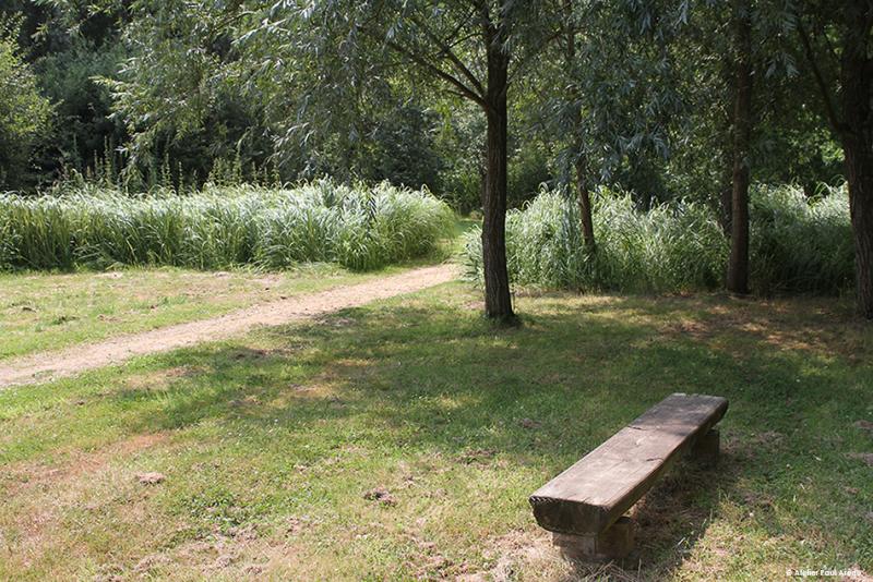 Developments in line with the naturalness of the site