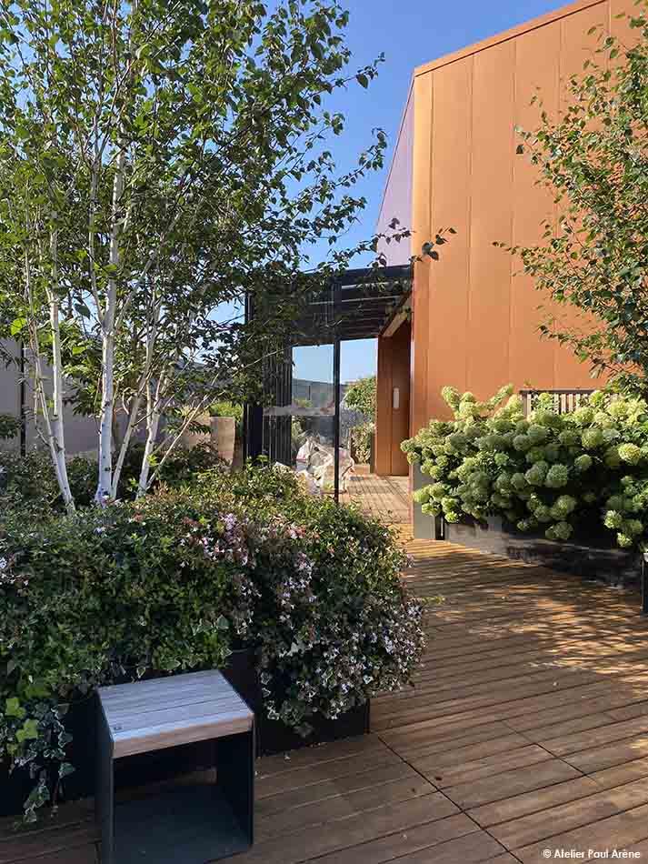 The vegetation forms a light canopy, filtering in the light and providing soft shade on the terrace.