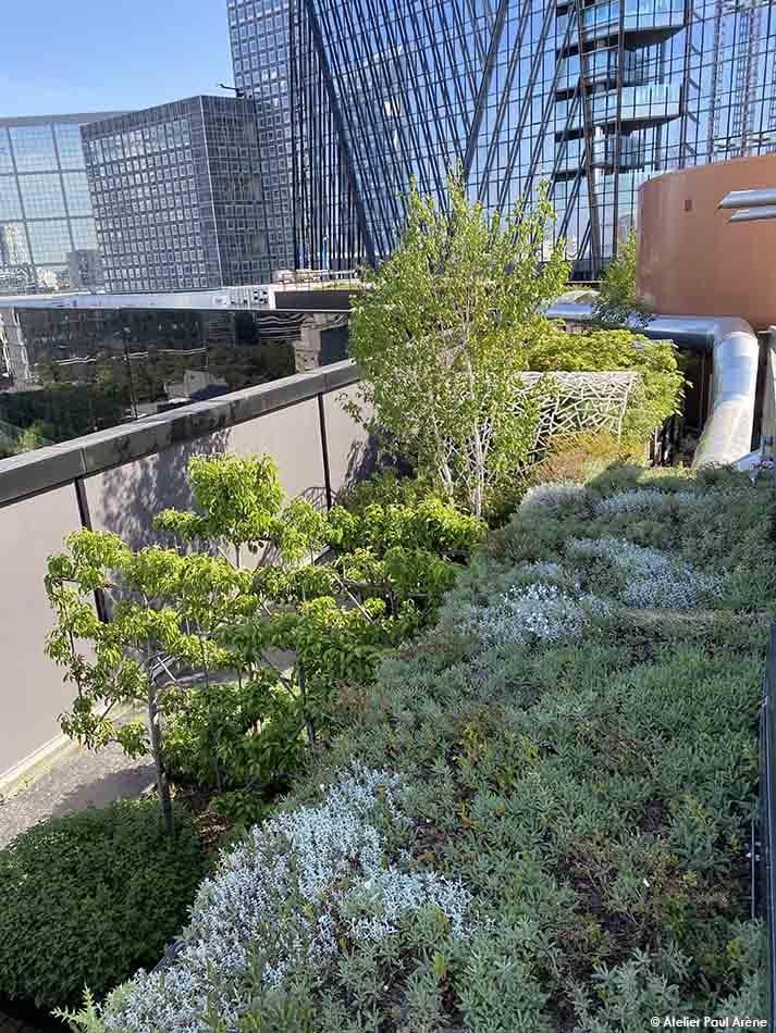 At the edge of the vertical landscape of La Défense, a green setting seeps overhead.