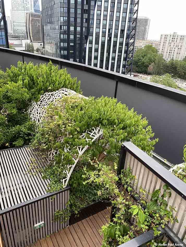 The vegetation envelops the alcoves in a green setting.