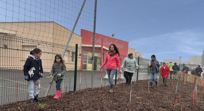 Project "Micro-forest", planting with students of the Saint-Joseph - Segré-en-Anjou Bleu school (49)