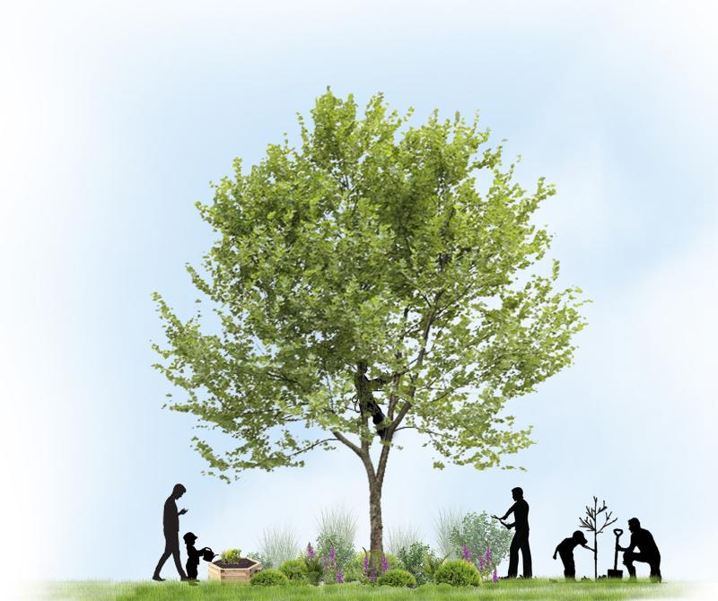  Inclusion of students in maintenance and management, care, discovery of plants - Louzy schoolyard (79)